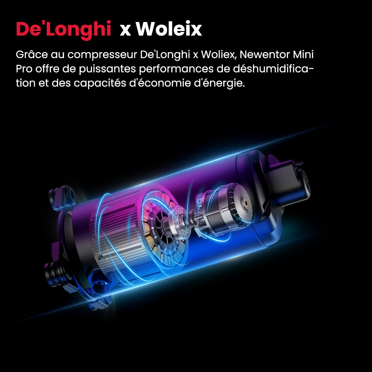 Déshumidificateur portable Woleix