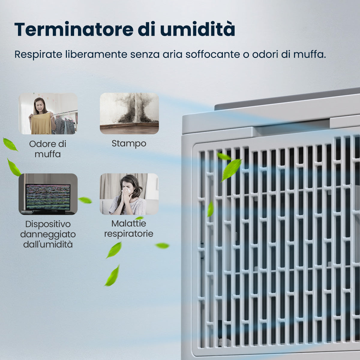 Woleix Deumidificatore portatile