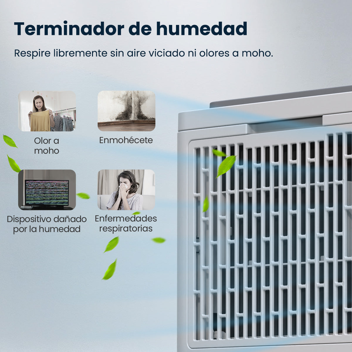 Woleix Deshumidificador portátil