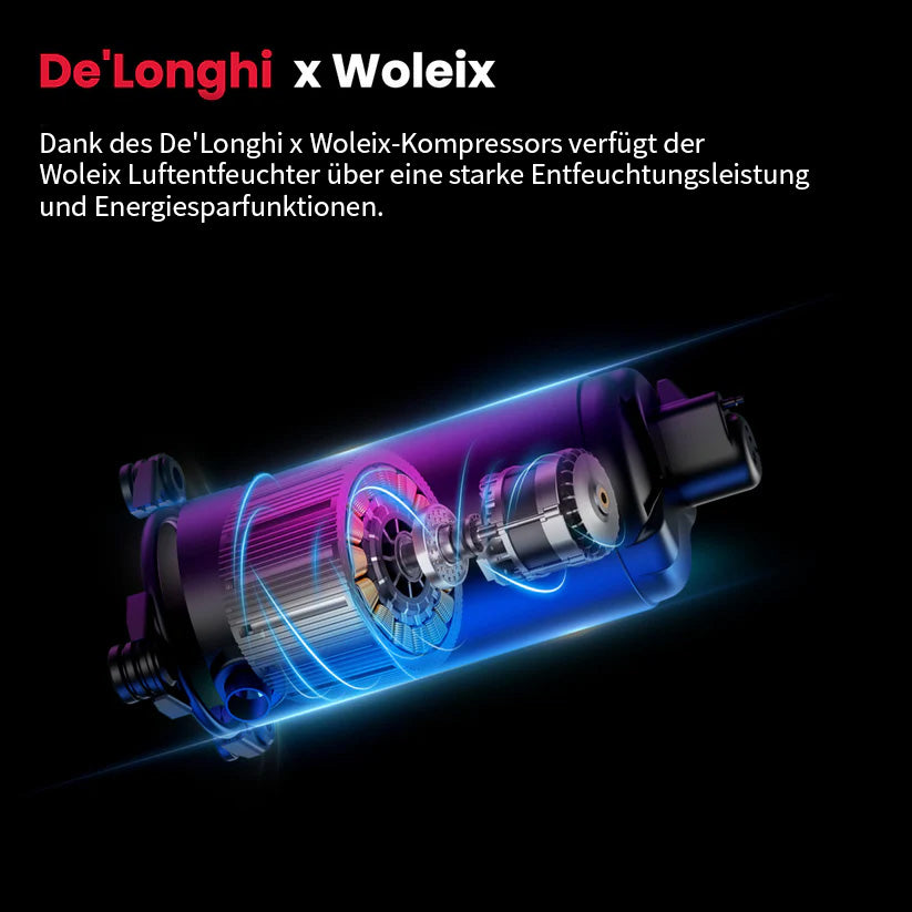 Woleix Tragbarer Luftentfeuchter – leise, für Schlafzimmer & Keller